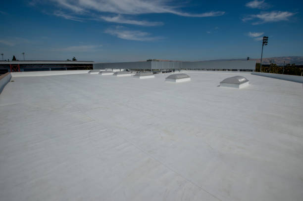 Best Roof Coating Services  in Brewster Heights, NY