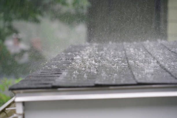 Best Emergency Roof Repair Services  in Brewster Heights, NY