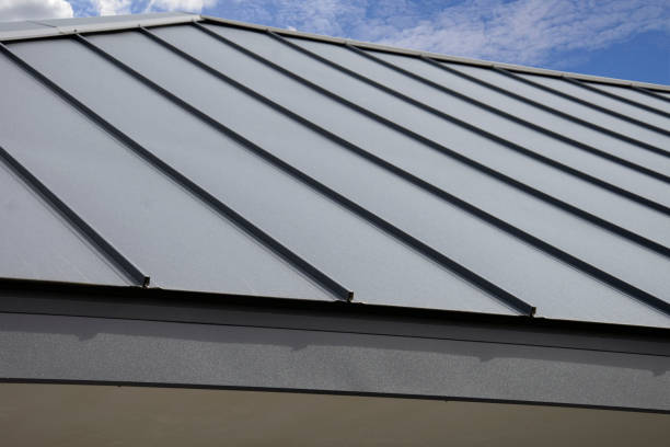 Best Roof Moss and Algae Removal  in Brewster Heights, NY